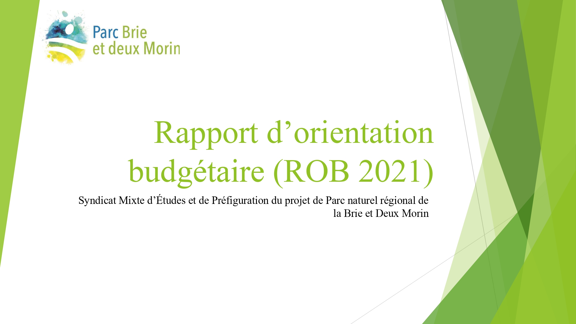 Rapport d'orientation budgétaire 2021_page-0001